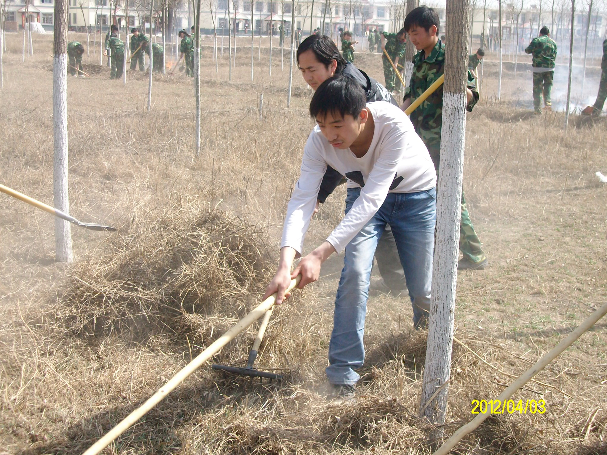 ALIM0169.JPG