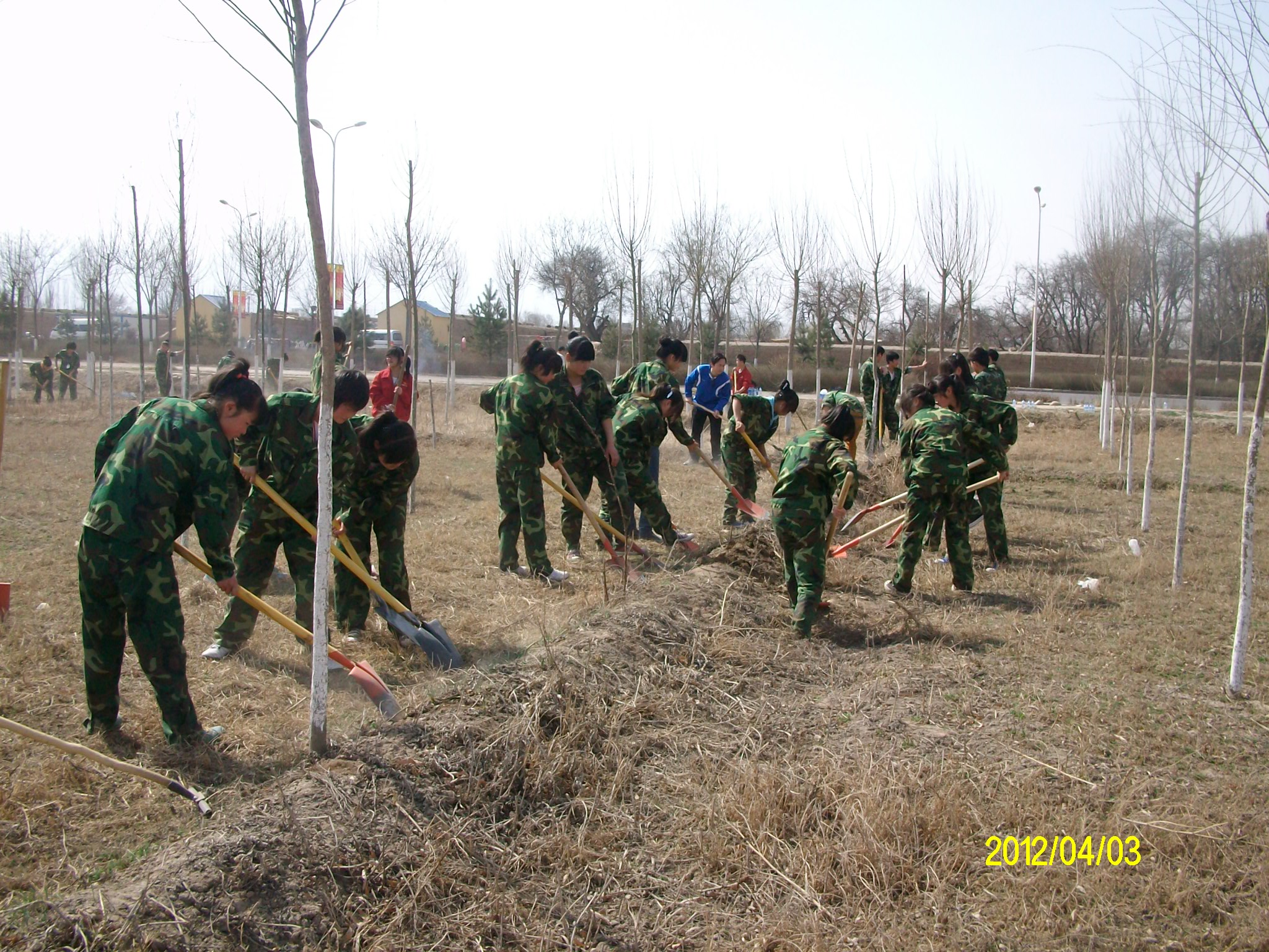ALIM0178.JPG