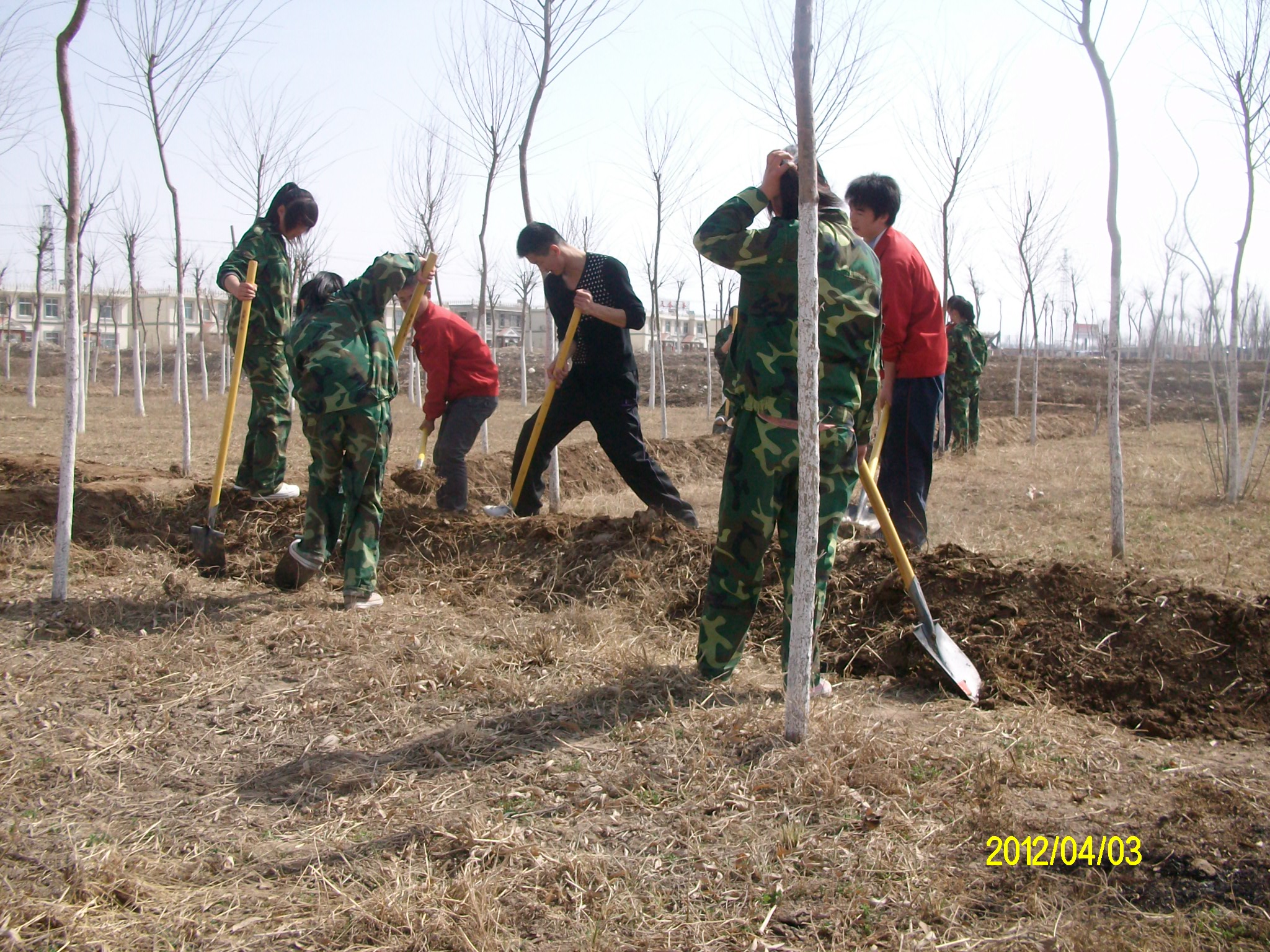 ALIM023608.jpg