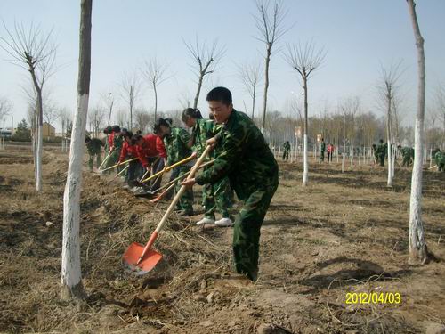 ALIM023608.jpg