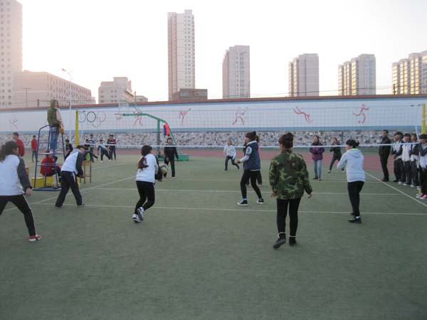 女排.jpg
